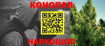 гашик Кандалакша
